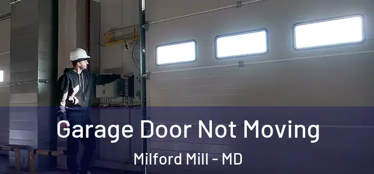  Garage Door Not Moving Milford Mill - MD